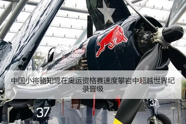 中国小将骆知鹭在奥运资格赛速度攀岩中超越世界纪录晋级